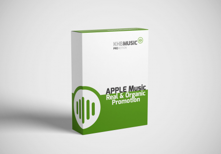 TikTok Influencer Campaign